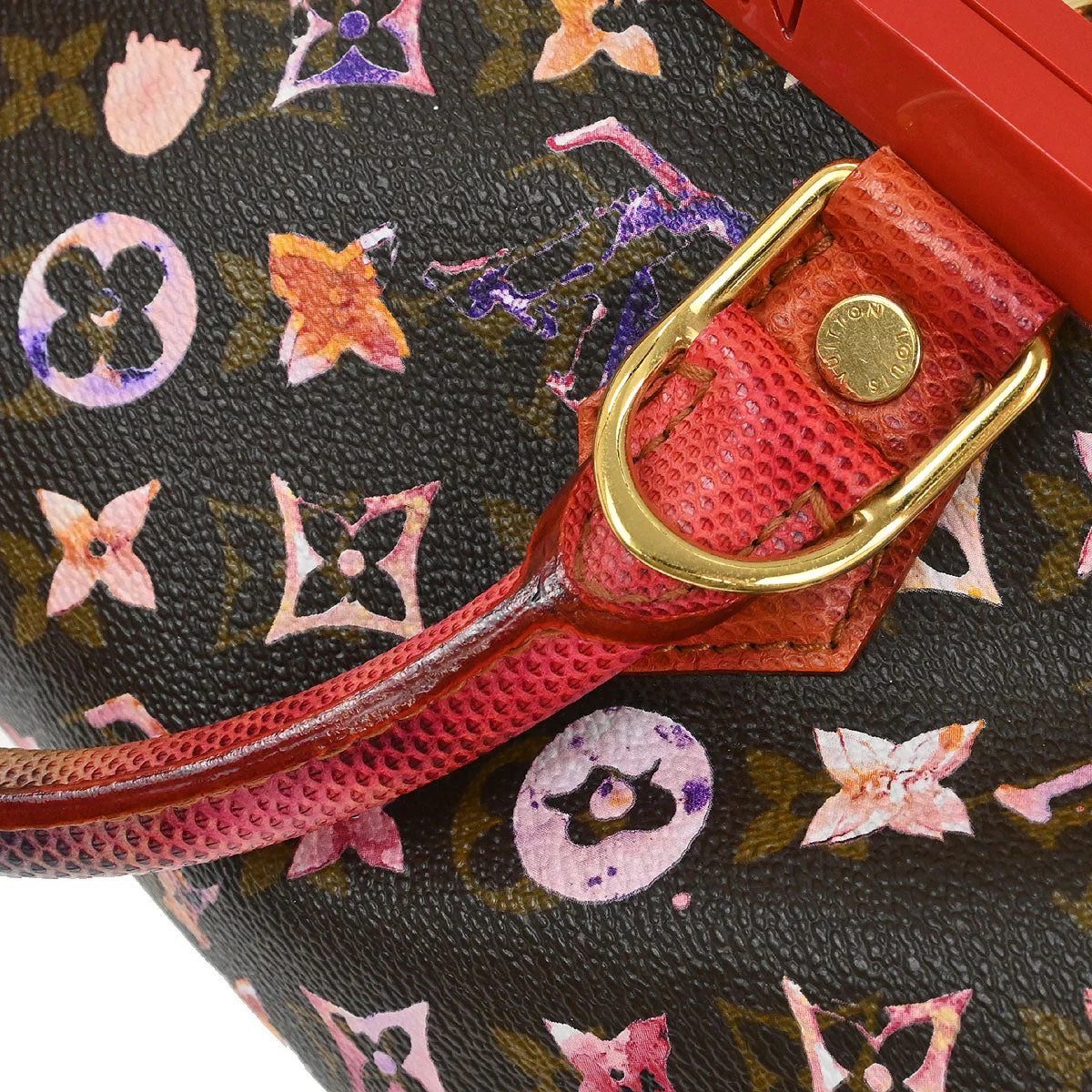 Louis Vuitton 2008 Monogram Watercolor Papillon Frame Handbag M95730 - Image 5