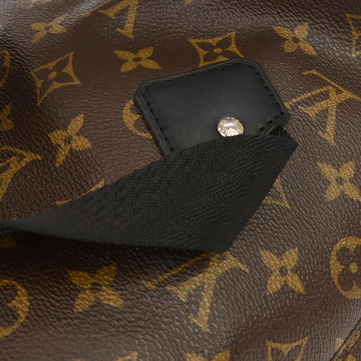 Louis Vuitton Monogram Macassar Parc Backpack M40637 - Image 5