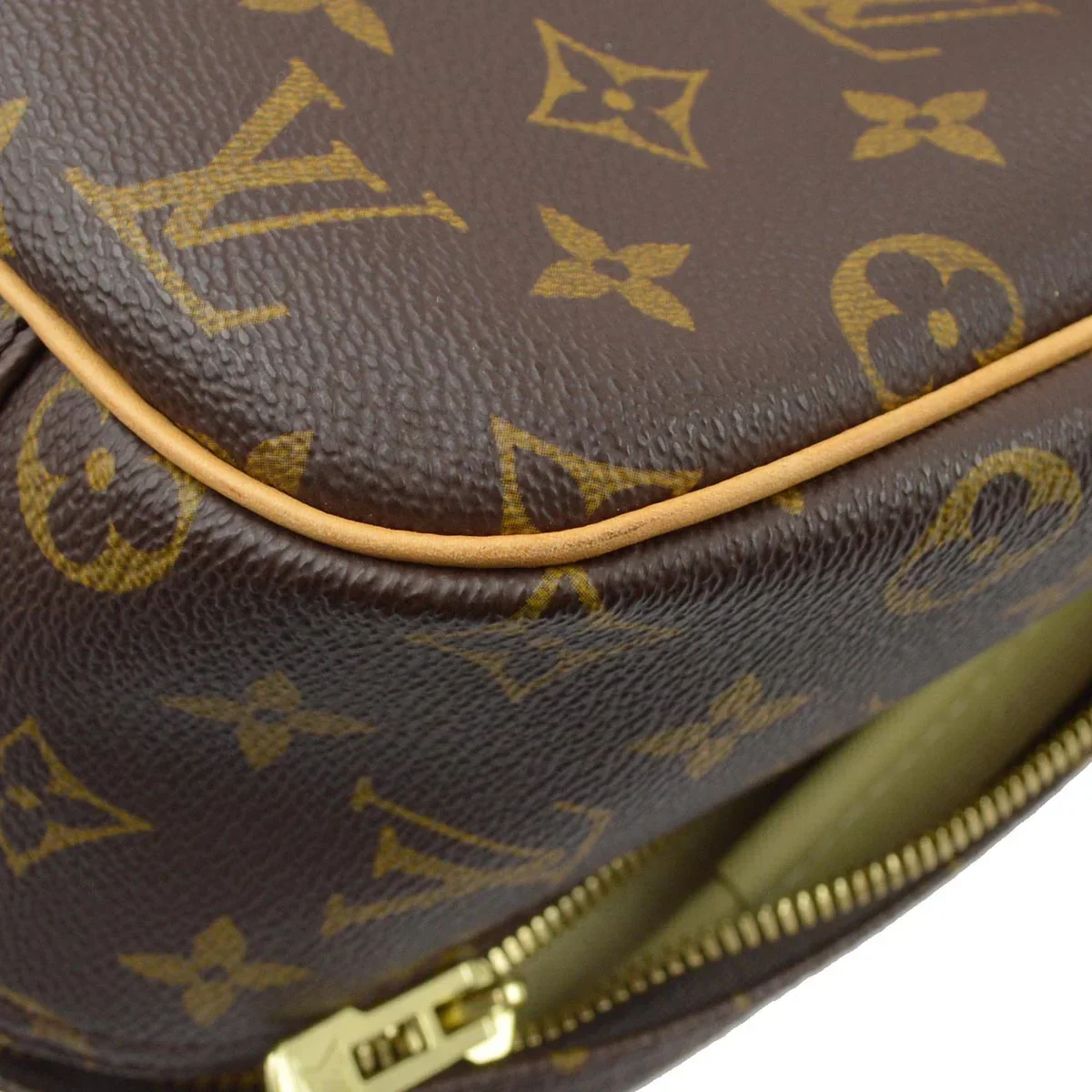 Louis Vuitton 2001 Monogram Excursion Shoes Handbag M41450 - Image 6