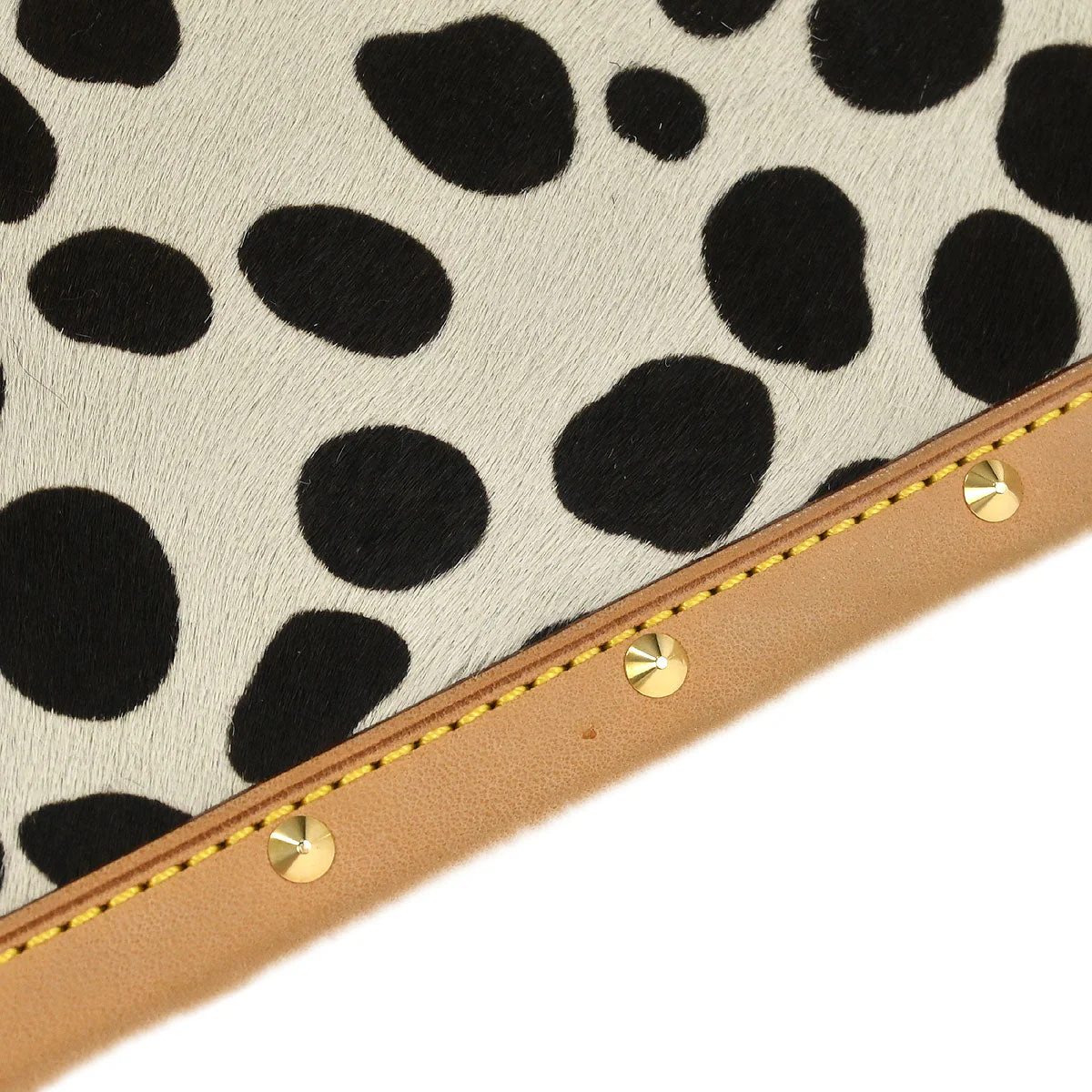 Louis Vuitton * Pochette Dalmatian Shoulder Bag M92826 - Image 6