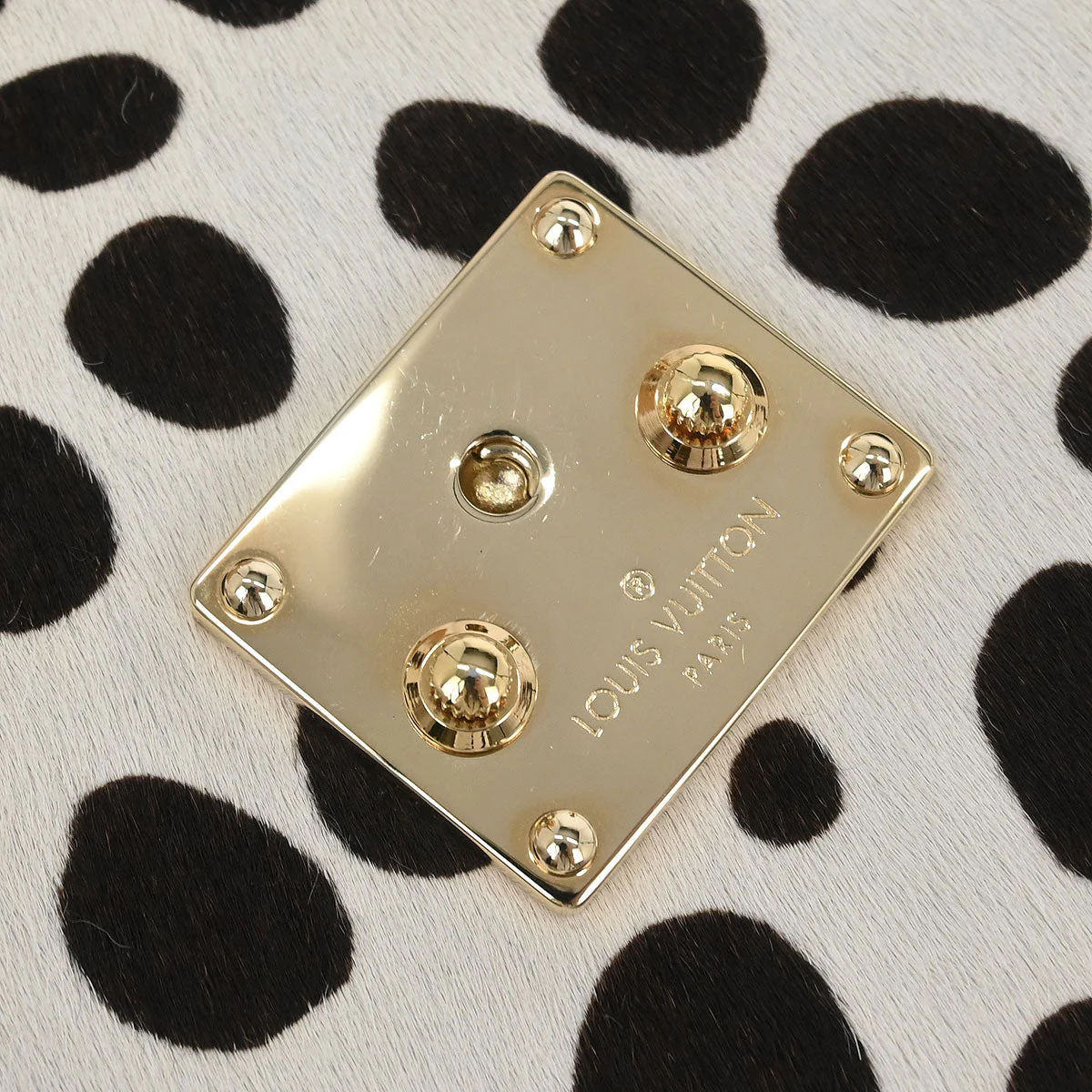 Louis Vuitton * Pochette Dalmatian Shoulder Bag M92826 - Image 9