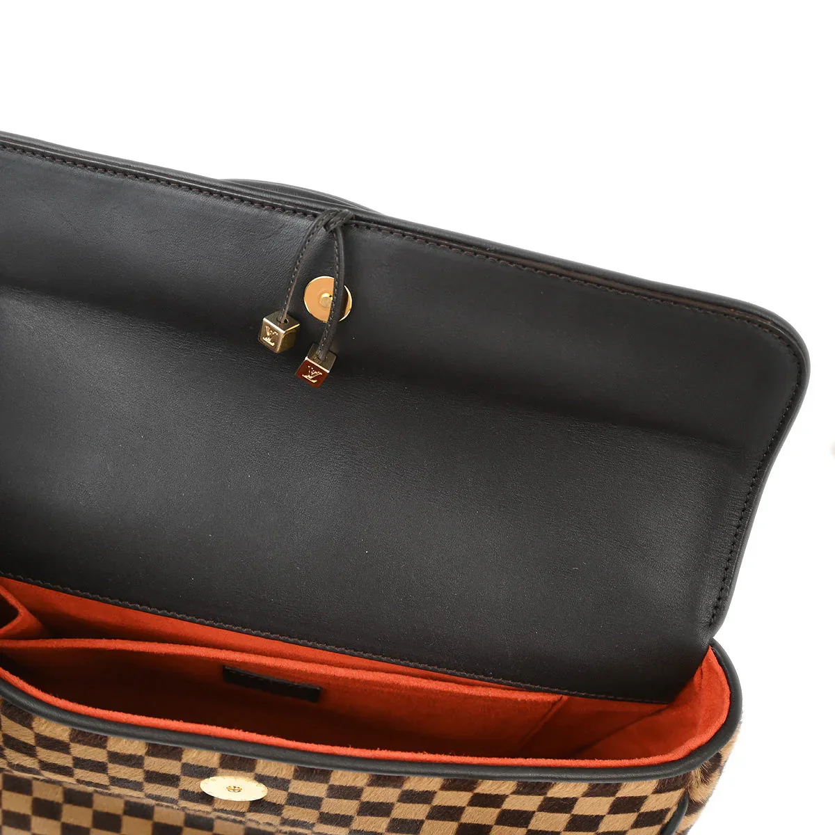 Louis Vuitton 2002 Damier Sauvage Lion Handbag M92131 - Image 7