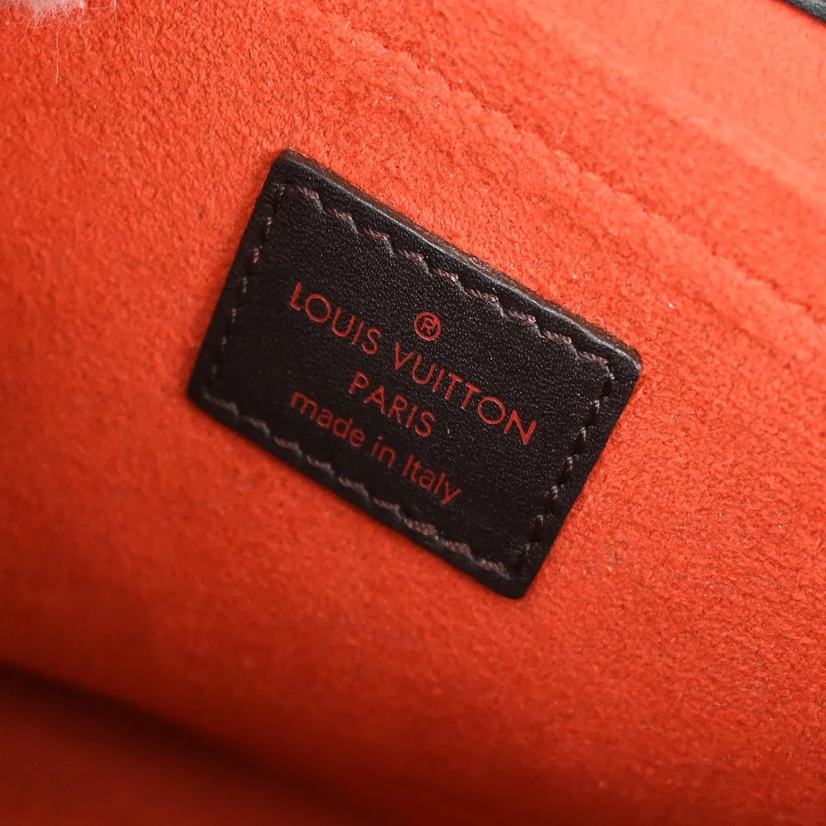 Louis Vuitton 2002 Damier Sauvage Lion Handbag M92131 - Image 9